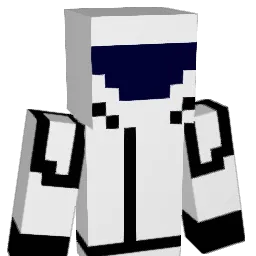 skyliner321 Minecraft avatar bust