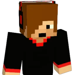 skylord888 Minecraft avatar bust