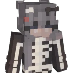 skyness9290 Minecraft avatar bust