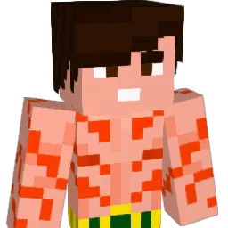 skypro12's Minecraft skin
