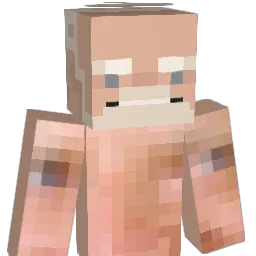 slappyduck Minecraft avatar bust