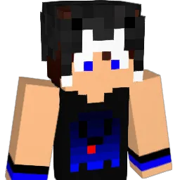 slc123's Minecraft skin