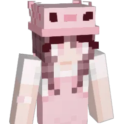 sleebygrey Minecraft avatar bust