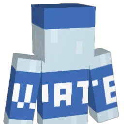 sleepyperx Minecraft avatar bust