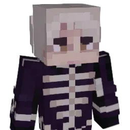 sleevye