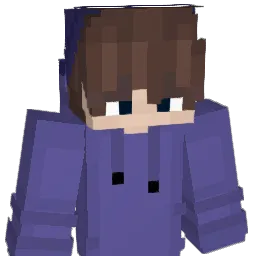slimdim495 Minecraft avatar bust