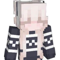 slm444 Minecraft avatar bust
