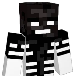 slowkid247 Minecraft avatar bust