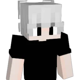 slwzinn