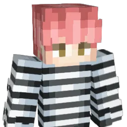 slynn365 Minecraft avatar bust