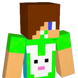 smashbadger07 Minecraft avatar bust