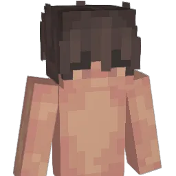 smhcoast Minecraft avatar bust