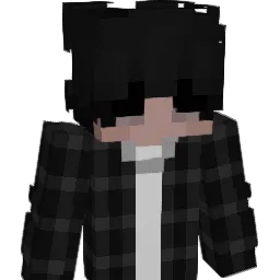 smjjr07 Minecraft avatar bust