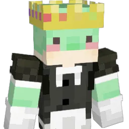 smol_816 Minecraft avatar bust