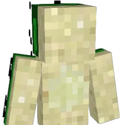 smurfchild_ Minecraft avatar bust