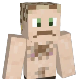 sn0wr0ach Minecraft avatar bust