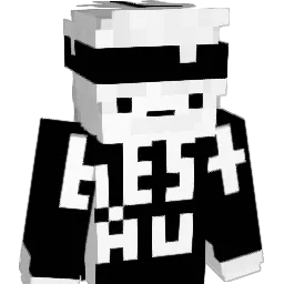 snIpr0am Minecraft avatar bust