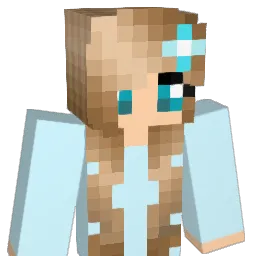 snap20 Minecraft avatar bust