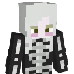 snappy434 Minecraft avatar bust