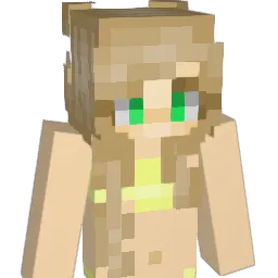 snebtv Minecraft avatar bust