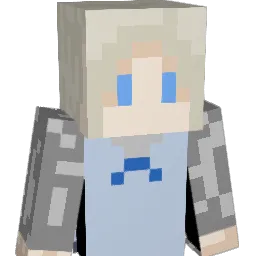 sng35 Minecraft avatar bust