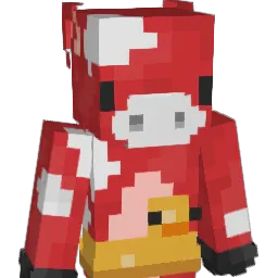 sniacy1 Minecraft avatar bust