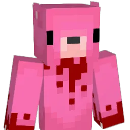 snkong206 Minecraft avatar bust