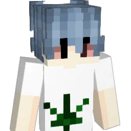snkz_wk Minecraft avatar bust