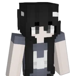 snle Minecraft avatar bust