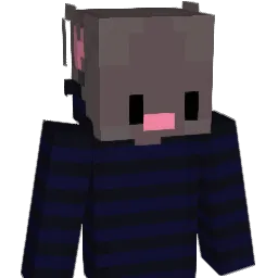 snoax_