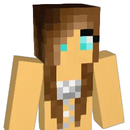 snoman63 Minecraft avatar bust