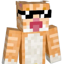 snorklecat Minecraft avatar bust