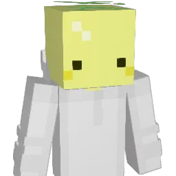 snowraon27 Minecraft avatar bust