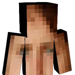 snowrock962 Minecraft avatar bust