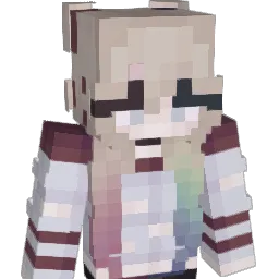 snox1233 Minecraft avatar bust