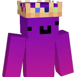 snox5467 Minecraft avatar bust