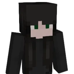snqp2707 Minecraft avatar bust