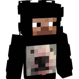 snvs Minecraft avatar bust