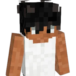 snw_ Minecraft avatar bust