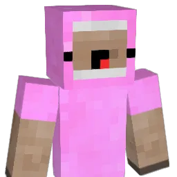 snyl8 Minecraft avatar bust