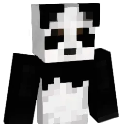 so2943 Minecraft avatar bust