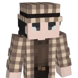 soIlId Minecraft avatar bust