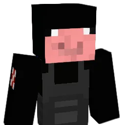 soccerkick11 Minecraft avatar bust