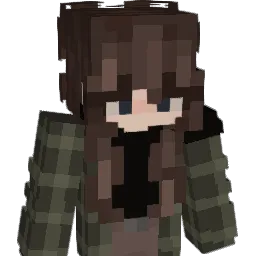 sockck's Minecraft skin