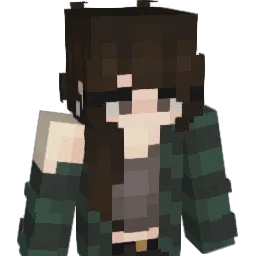 socks05231 Minecraft avatar bust