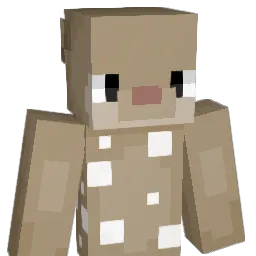 soferty's Minecraft skin