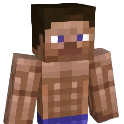 soggychick Minecraft avatar bust