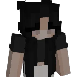 sogoggi Minecraft avatar bust