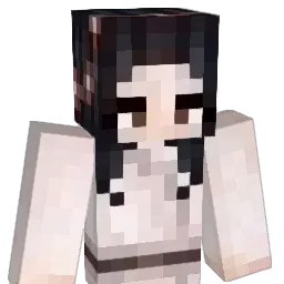 sokicowboy Minecraft avatar bust