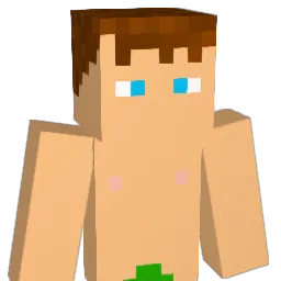 sokkaa Minecraft avatar bust